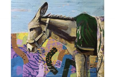 Palestinian Donkey 05