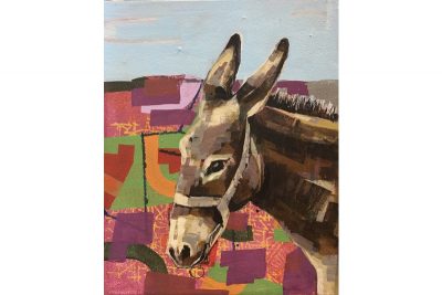 Palestinian Donkey 08